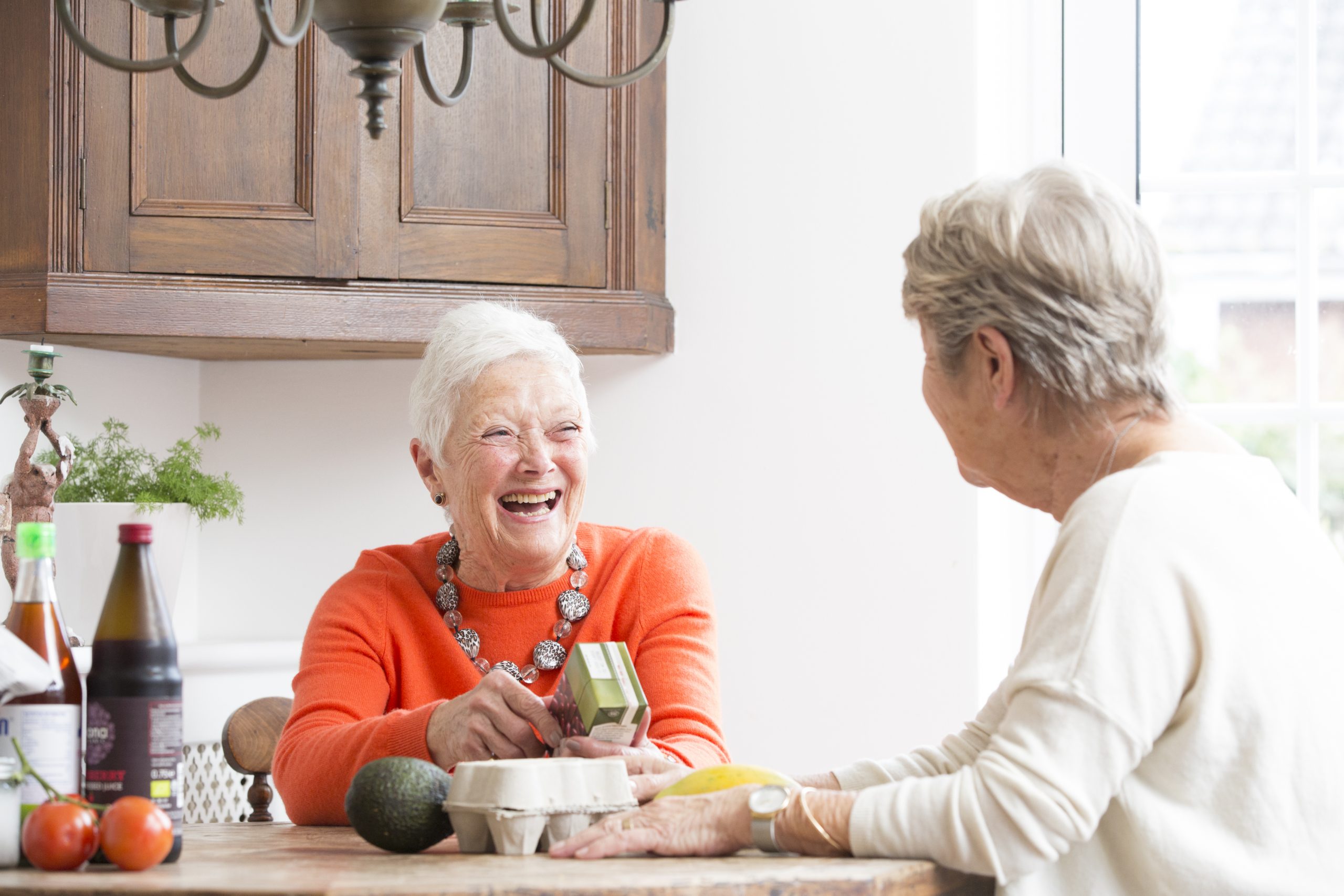 Seniors Helping Seniors