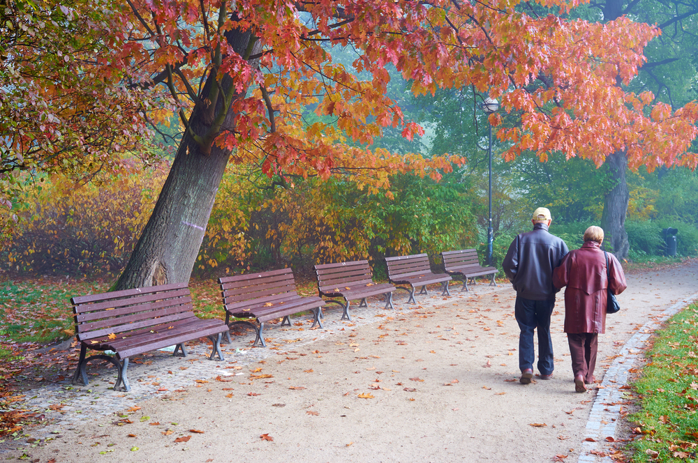 Local Parks