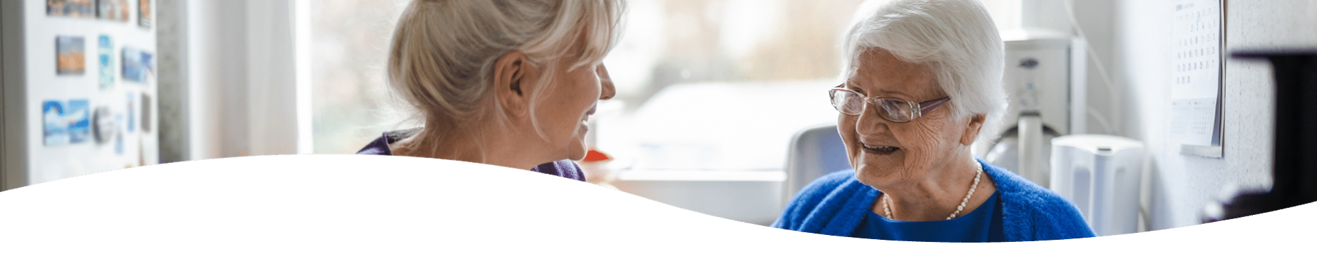 Work with us at Seniors Helping Seniors