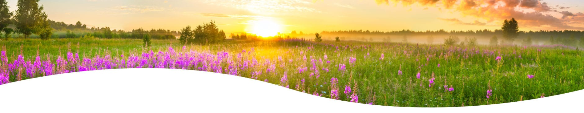 Key Information header Key Information